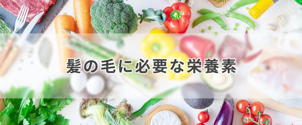 髪の毛に必要な栄養素