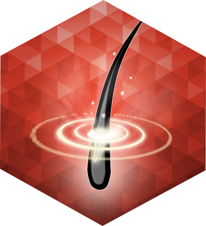 毛髪環境を整えて毛根から発毛力をUP!!